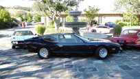 Lamborghinis in the courtyard